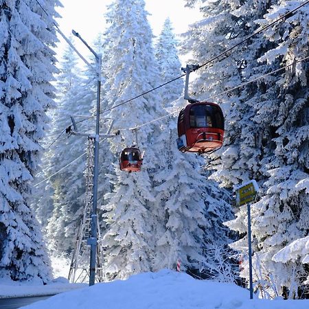 Your Place Borovets Luaran gambar