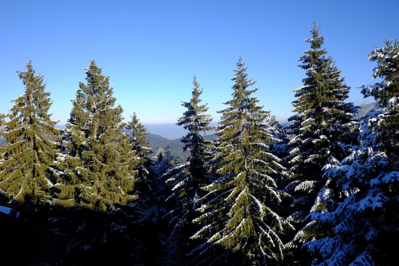 Your Place Borovets Luaran gambar